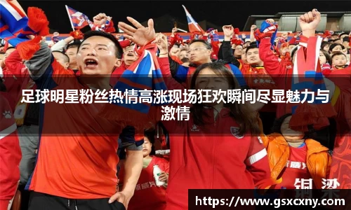 足球明星粉丝热情高涨现场狂欢瞬间尽显魅力与激情