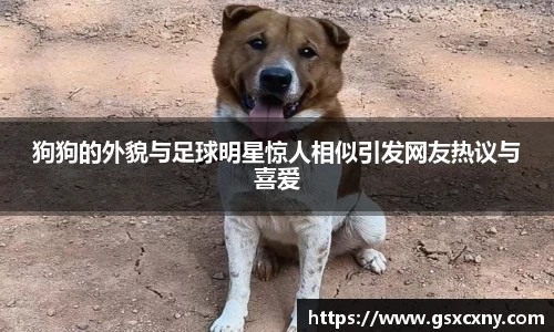 狗狗的外貌与足球明星惊人相似引发网友热议与喜爱